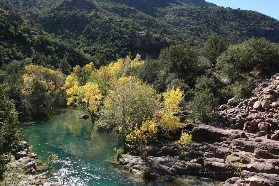 Fossil Creek